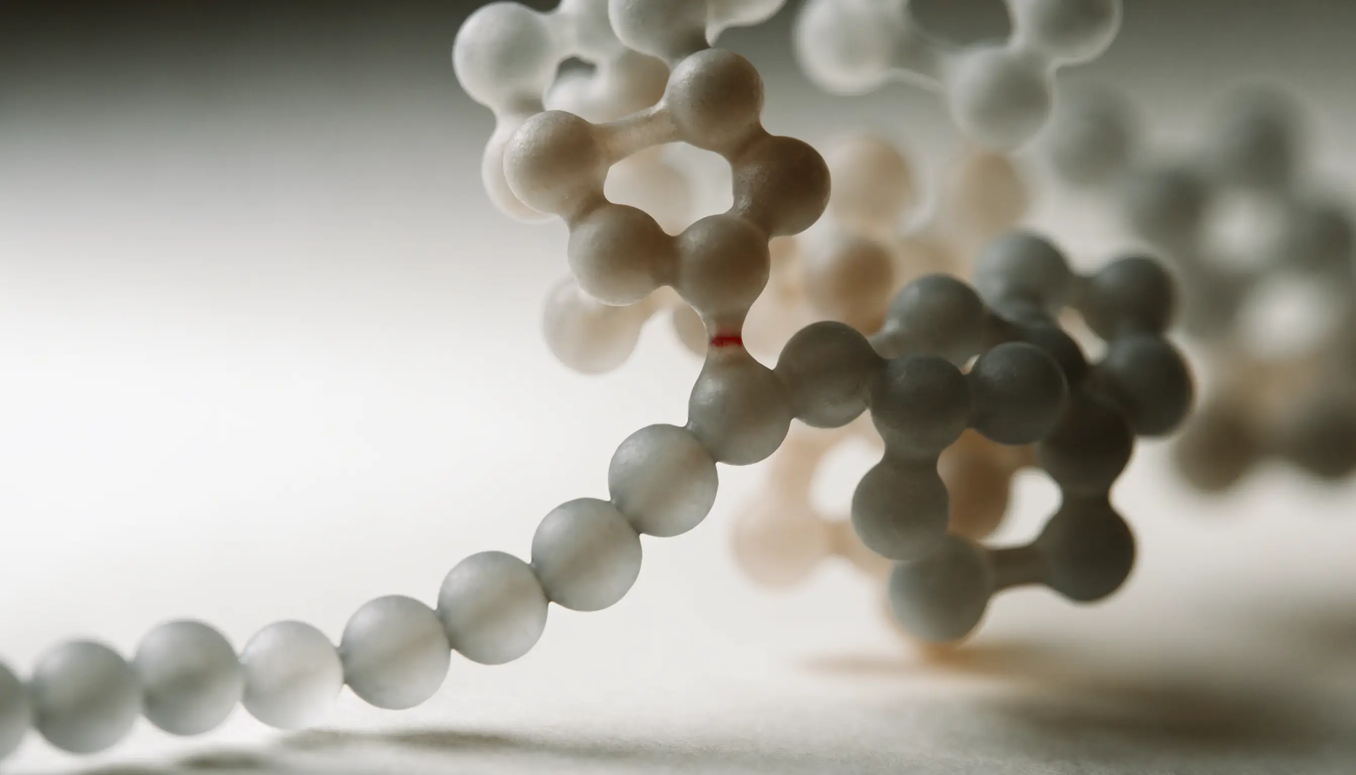 Peptides vs Proteins vs Amino Acids: Size & Function